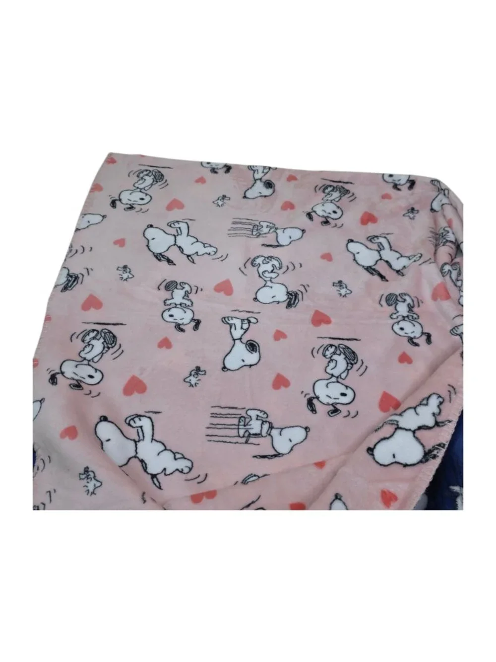 Peanuts Snoopy Reversible Velvet Soft Throw Blanket 50x70 Inch Blue Pink